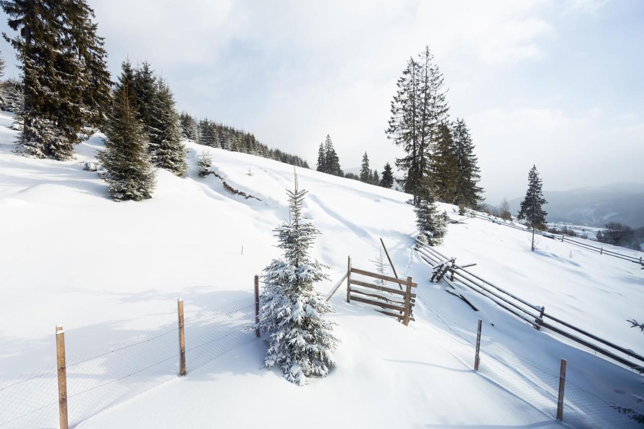 Villas Fomich Bukovel Bagian luar foto