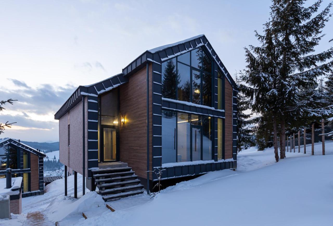 Villas Fomich Bukovel Bagian luar foto